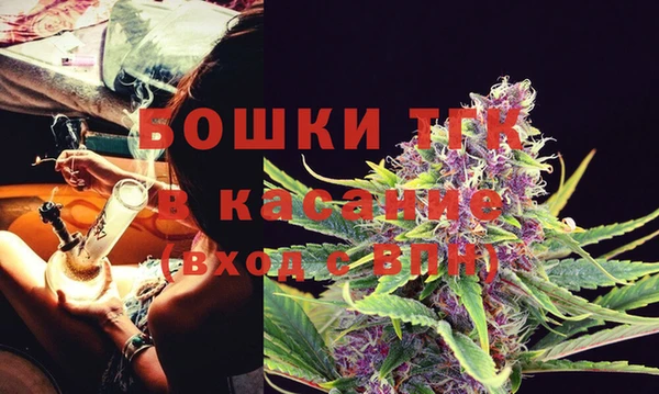 молекула духа Покачи