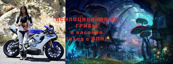 молекула духа Покачи