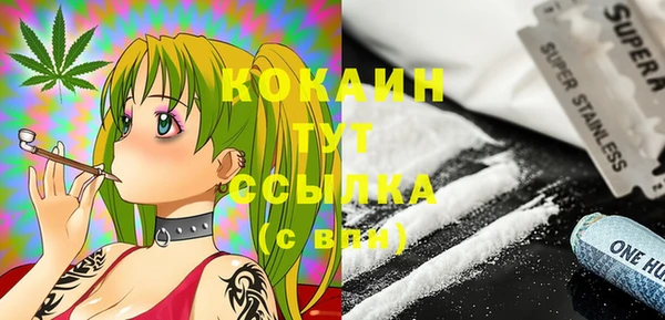 молекула духа Покачи
