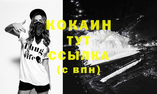 СК Покров