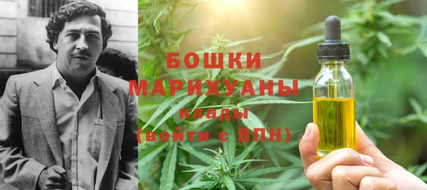 молекула духа Покачи