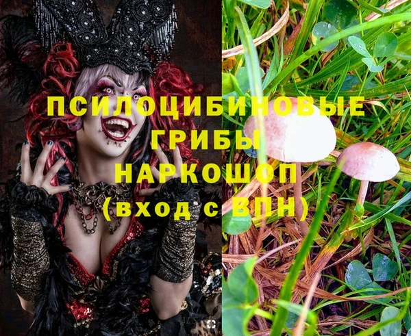 молекула духа Покачи