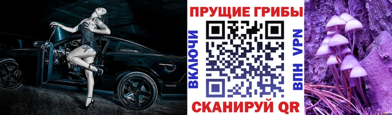 Псилоцибиновые грибы ЛСД  Купить закладки  Уфа 